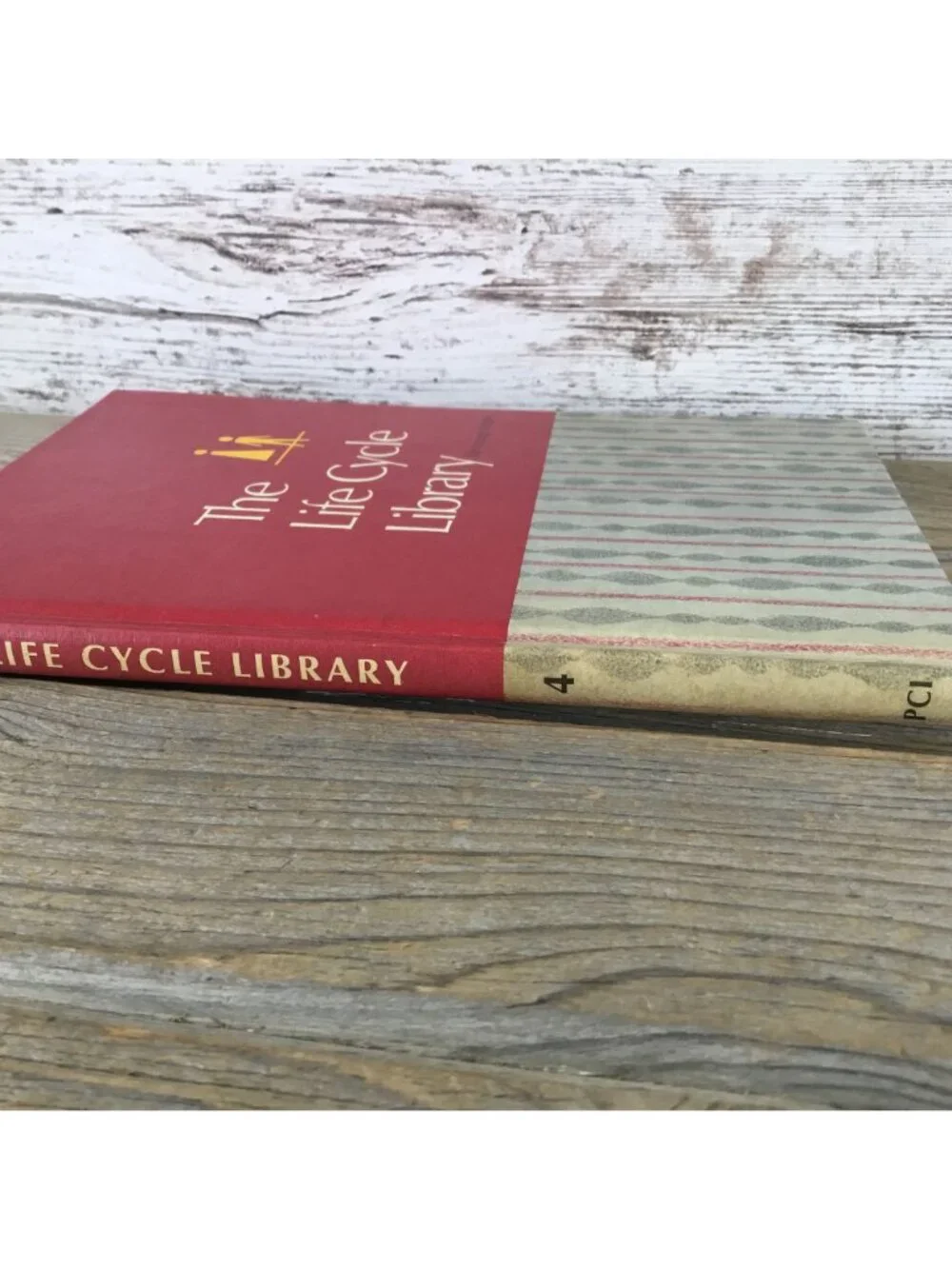 The Life Cycle Library For Young People Vol. 4 Hardcover 1969 Parent & Child